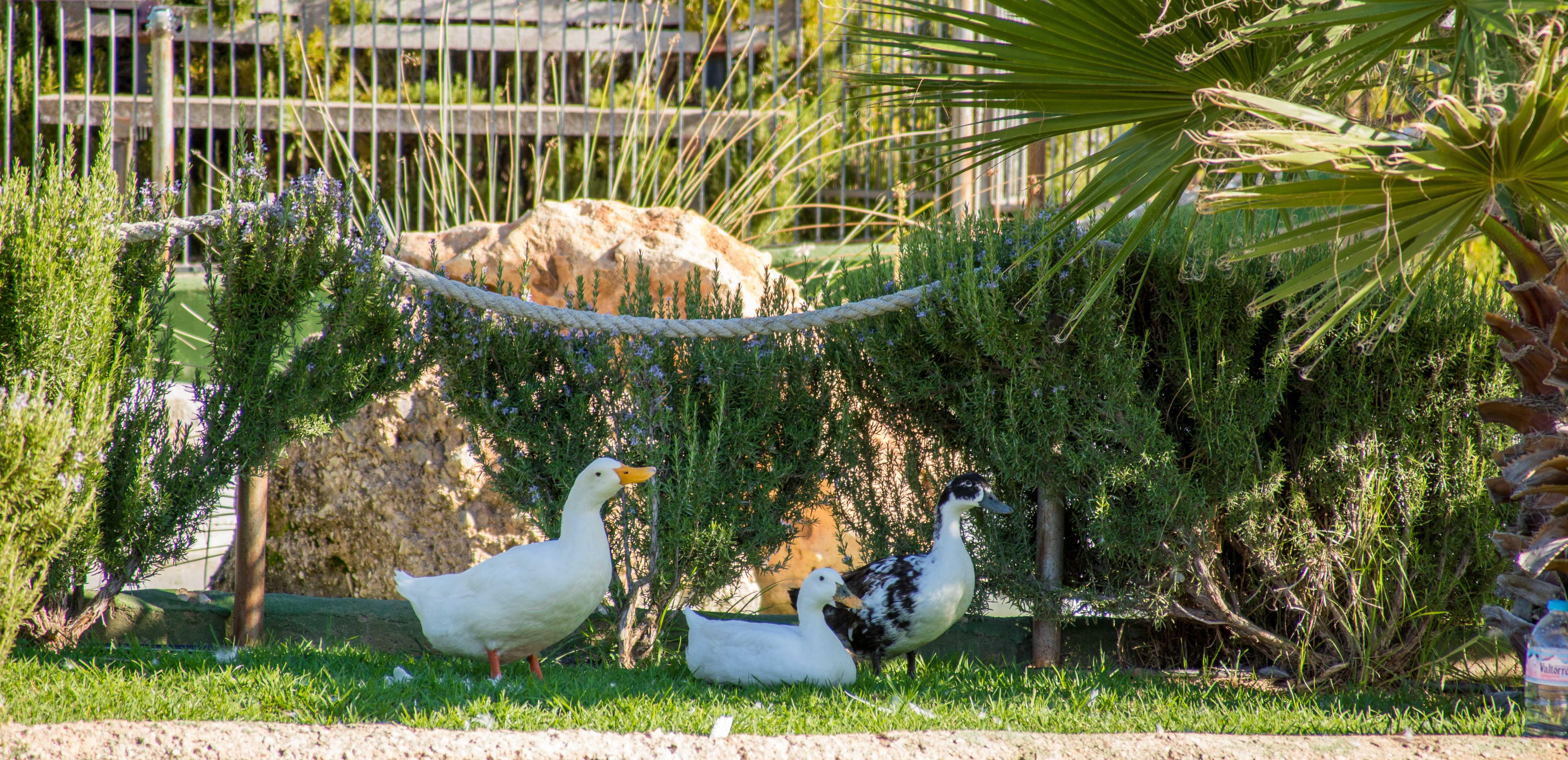 רונדה Hotel Rural El Cortijo מראה חיצוני תמונה